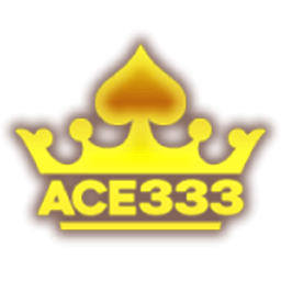 ACE333_1638520232.png